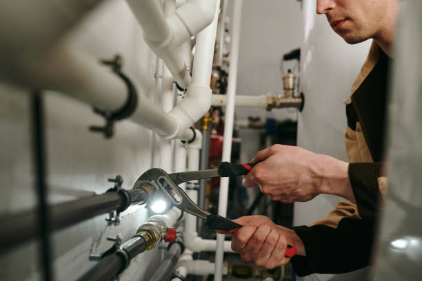 Best Drain Cleaning Services  in Forestville, MD