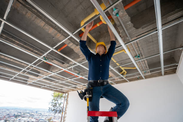 Best 24-Hour Plumber Near Me  in Forestville, MD