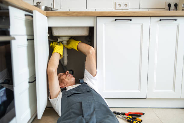Best Commercial Plumbing Services  in Forestville, MD